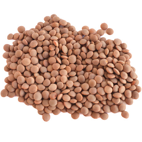 LENTILS, BROWN, ORGANIC 25 LB