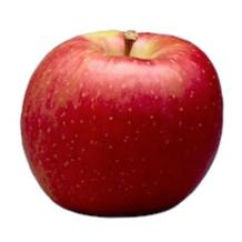 MI APPLES, EVERCRISP, IPM, BUSHEL, (38 - 40 LB)