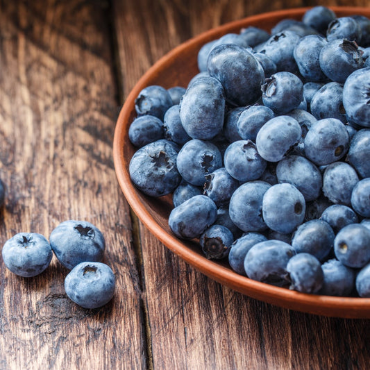 FARM FRESH MICHIGAN BLUEBERRIES, IPM,     10 LB Box