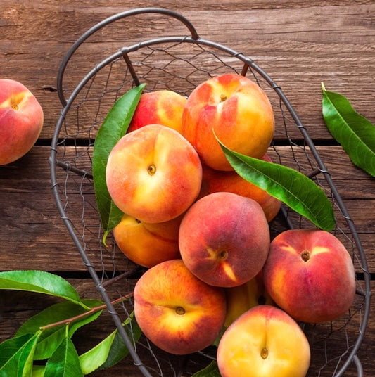 FRESH GA PEACHES, IPM, FREESTONE, NUMBER 1,  25 LB Box